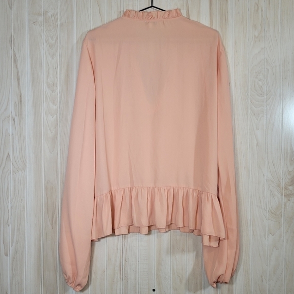 A Dip of Darling Soft Peach Long Sleeve Blouse Top Sz XXL - Picture 5 of 5